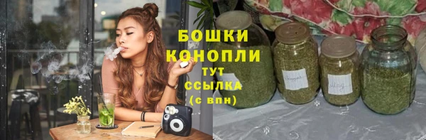 эйфоретик Аша