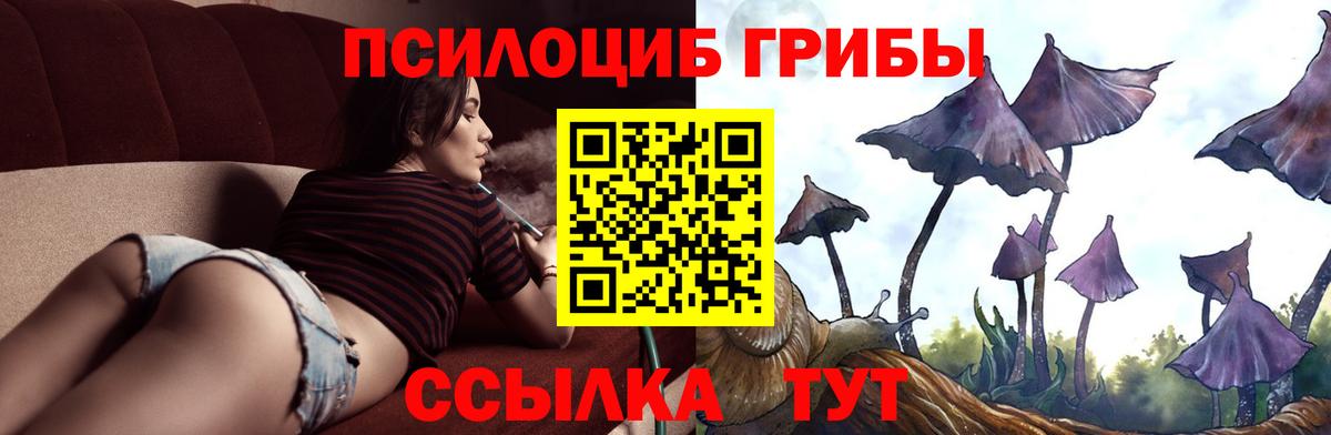 Тольятти  Галлюциногенные грибы Cubensis  Вход с VPN 